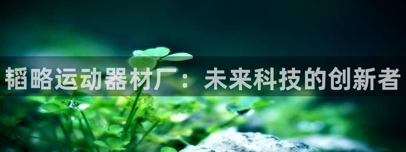 海南球速体育QsTY官网下载发展怎么样：韬略运动器材厂：未来