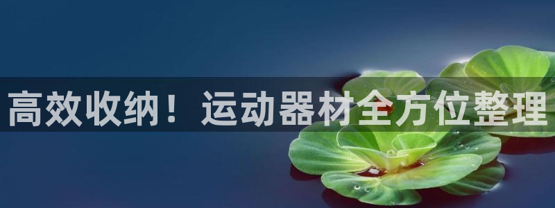 球速体育QsTY官网下载平台假的吗是真的吗吗：高效收纳！运动