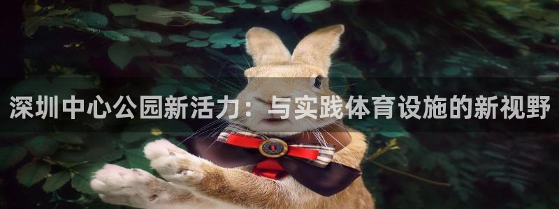 注册球速体育QsTY官方正版app：深圳中心公园新活