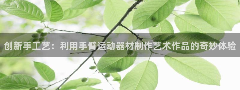 球速体育QsTY官网下载平台注册流程视频：创新手工艺：利用手