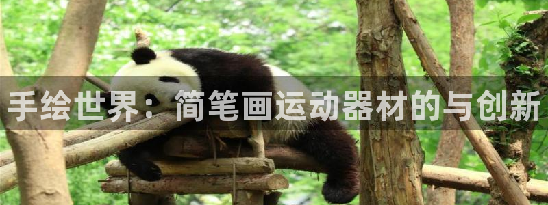 球速体育QsTY官网下载平台注册流程视频：手绘世界：简笔画运