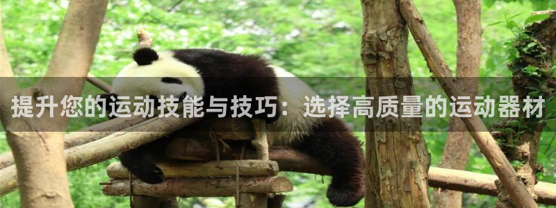 球速体育QsTY官方正版app娱乐是那个系列的台子：提升您的