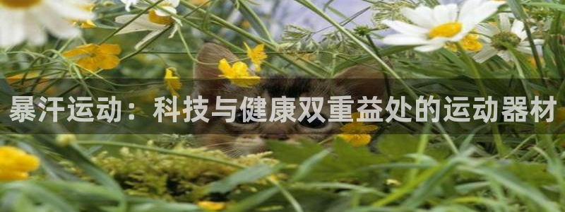 球速体育QsTY官网下载平台APP：暴汗运动：科技与健康双重