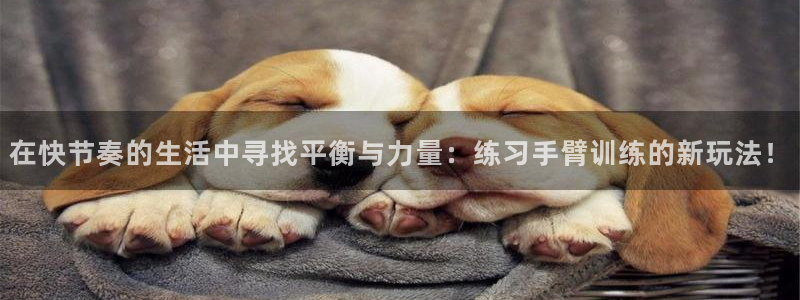 球速体育QsTY官网下载：在快节奏的生活中寻找平衡与