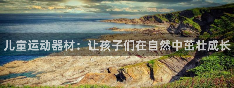 球速体育QsTY官方正版app集团E.ON