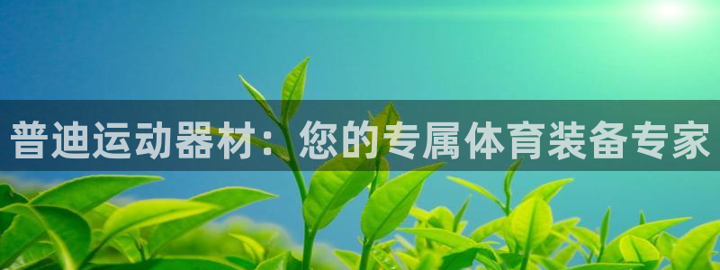 球速体育QsTY官网下载招商电话：普迪运动器材：您的专属体育