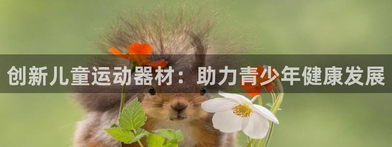 球速体育QsTY官方正版app新能源：创新儿童运动器材：助力