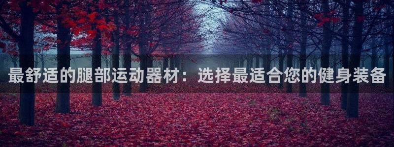 球速体育QsTY官方正版app代理